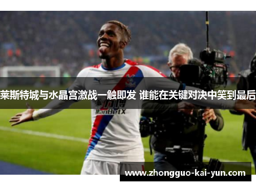 莱斯特城与水晶宫激战一触即发 谁能在关键对决中笑到最后 莱斯特城与水晶宫激战一触即发 谁能在关键对决中笑到最后