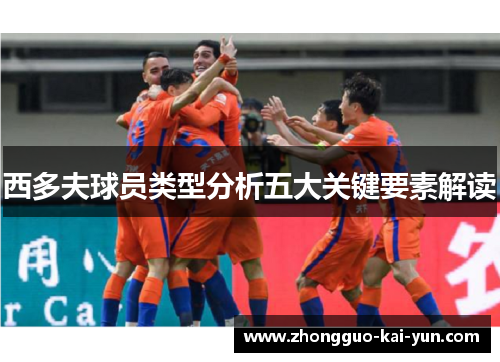 西多夫球员类型分析五大关键要素解读