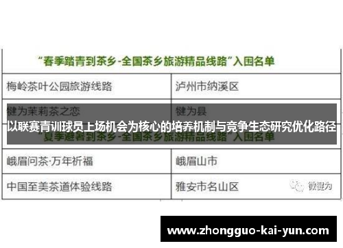 以联赛青训球员上场机会为核心的培养机制与竞争生态研究优化路径